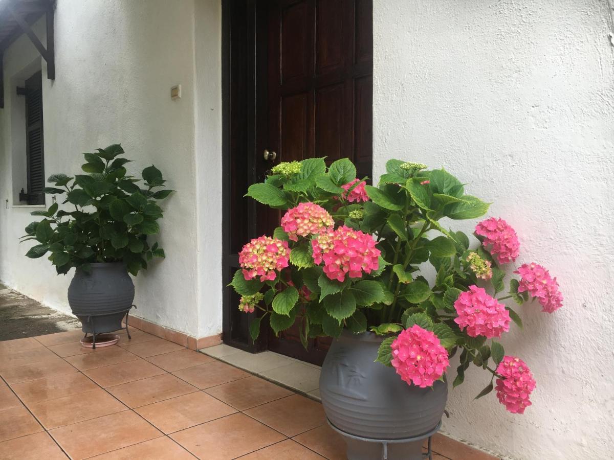 Sarakinas Farm House Kalambaka Bagian luar foto